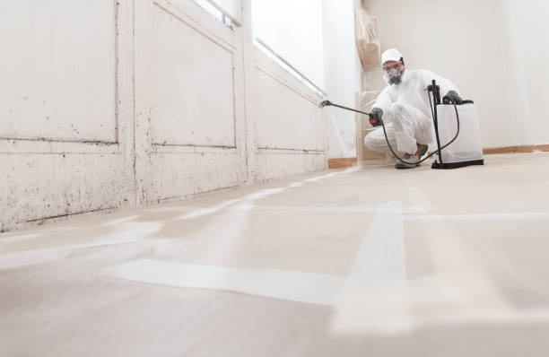 24/7 Emergency Mold Inspection experts in Bridgeport, MI